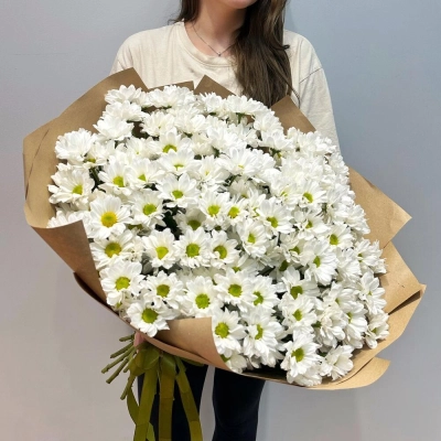 Букет «21 ромашка» – нежные белые кустовые хризантемы в натуральном стиле Апатиты Мурманская область