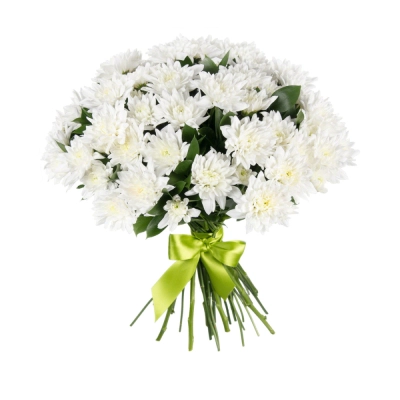 Букет «Белый ангел» – скульптурная чистота белых хризантем Апатиты Мурманская область