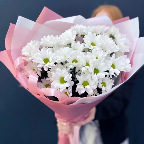 Букет «Розовое счастье» – нежность белых хризантем Апатиты Мурманская область