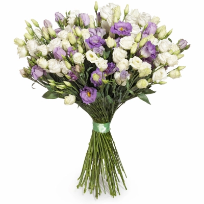 Изысканный букет из белых и фиолетовых эустом – гармония контрастов Апатиты Мурманская область