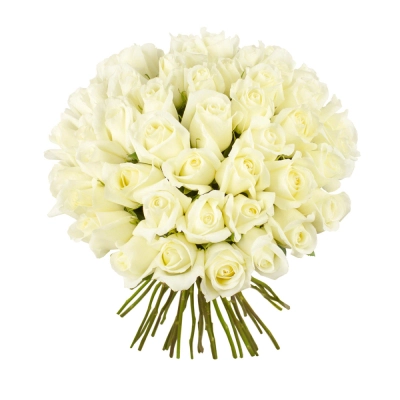 Роскошный букет из 51 белой розы – символ безграничной преданности Апатиты Мурманская область