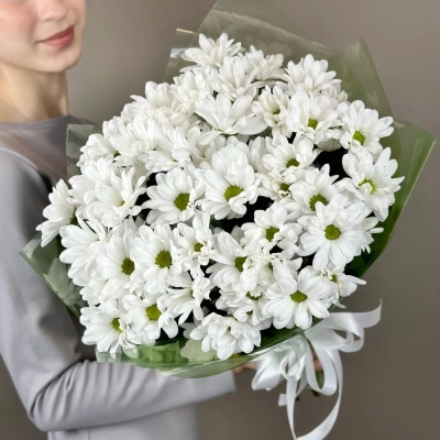 Букет «Мечты о лете» – свежесть белых хризантем Апатиты Мурманская область
