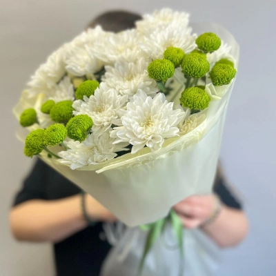 Эксклюзивный букет «Филин Грин» – сочетание белых и зеленых хризантем Апатиты Мурманская область