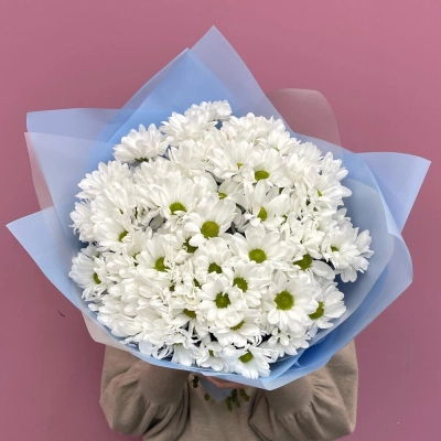 Букет «Ромашковое поле» – свежесть белых хризантем Апатиты Мурманская область