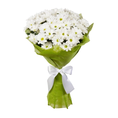 Пышный букет из хризантем – элегантность в каждом лепестке Апатиты Мурманская область