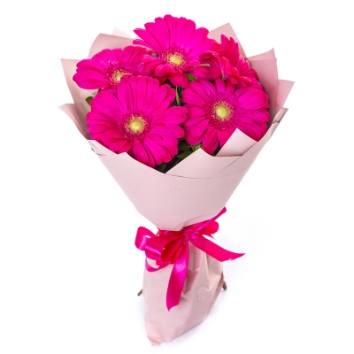 Букет из 5 малиновых гербер – сочный акцент вашего подарка Апатиты Мурманская область