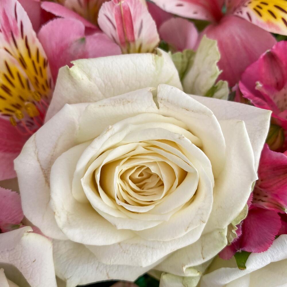 Букет «Николь» – изысканное сочетание роз, кустовых роз и альстромерий Апатиты Мурманская область